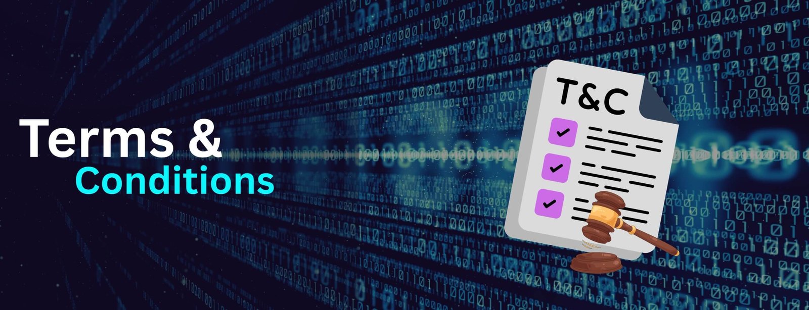 terms and conditions page banner